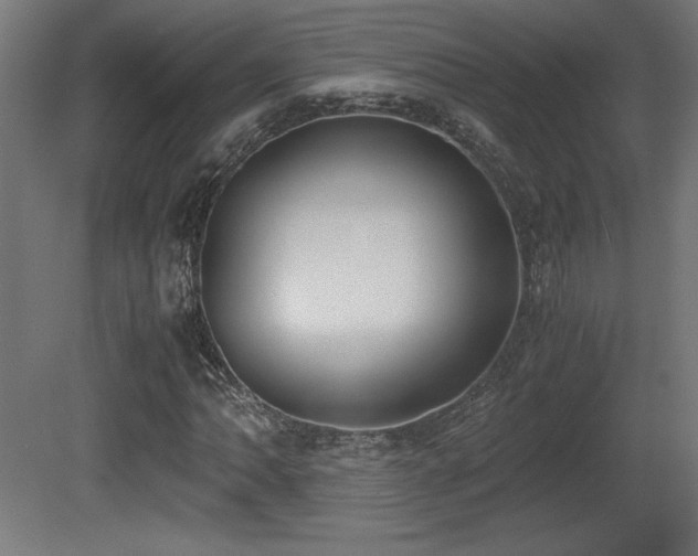 X0000081291062200701111353