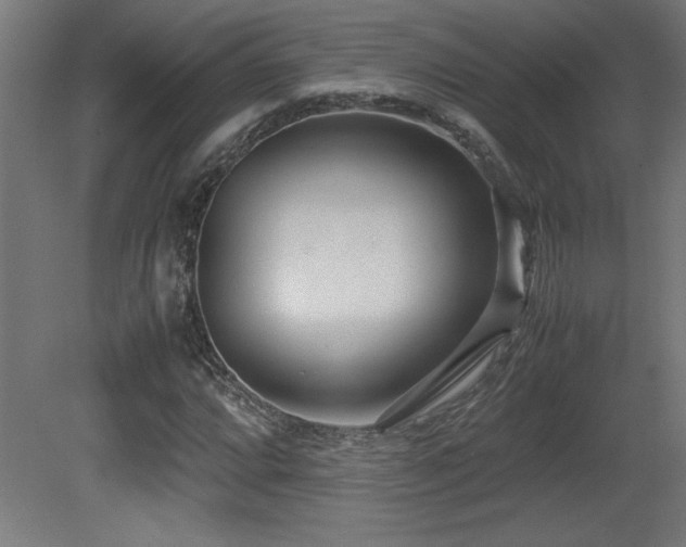 X0000081291064200701111352