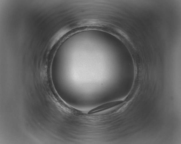 X0000081291066200701111352