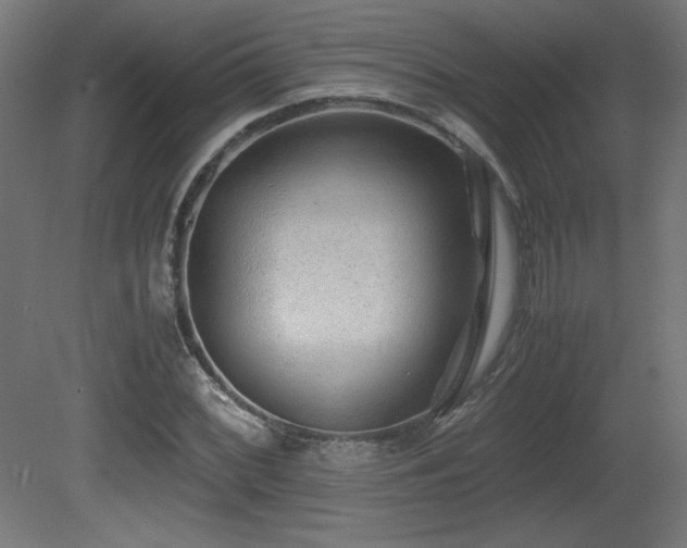 X0000081291068200701111352