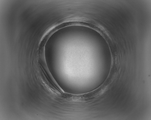 X0000081291069200701111352