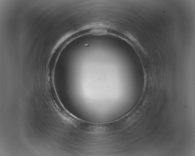 X0000081291070200701111352
