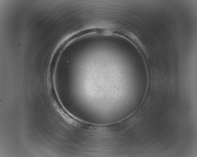 X0000081291072200701111352