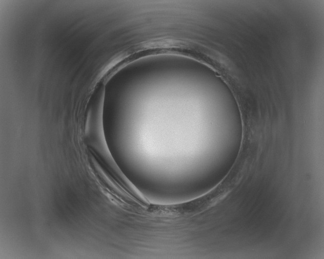 X0000081291073200701111352