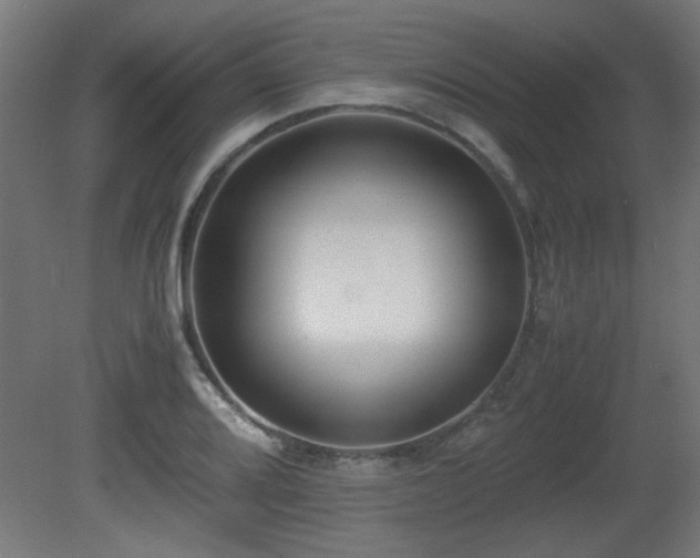 X0000081291080200701111352