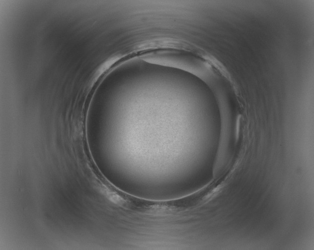 X0000081291081200701111352