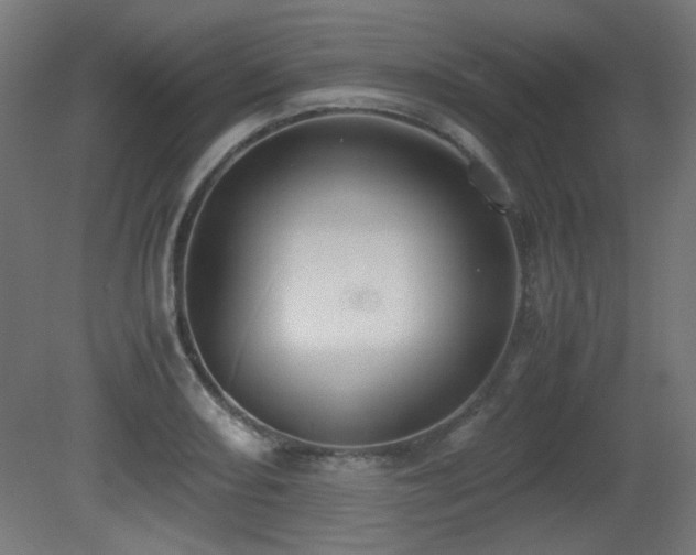 X0000081291082200701111352