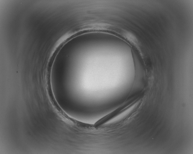 X0000081291085200701111352