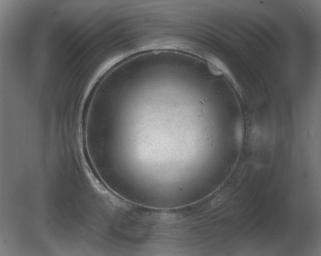 X0000081291088200701111352