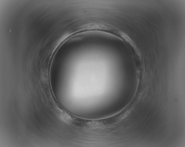 X0000081291089200701111352