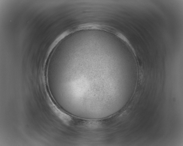 X0000081291090200701111352