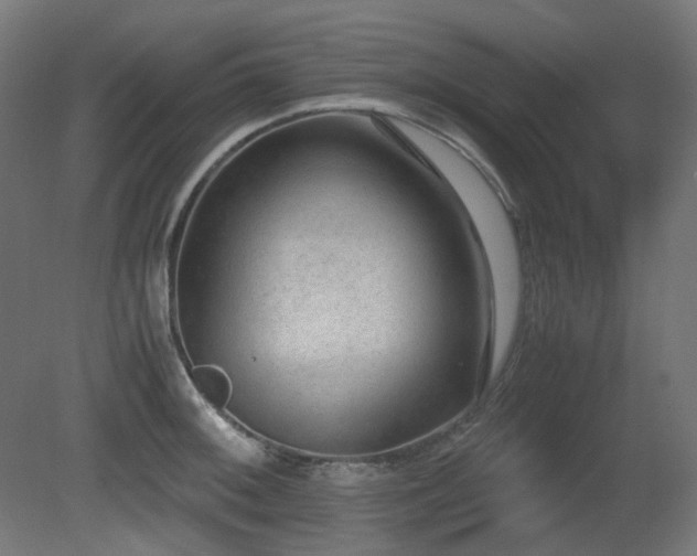 X0000081291092200701111352