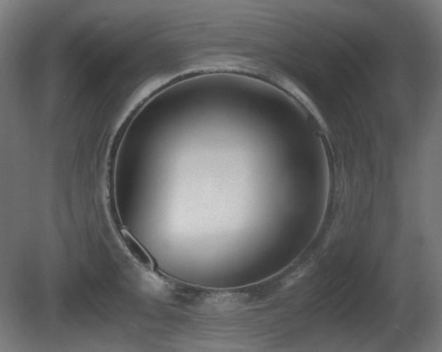 X0000081291093200701111352