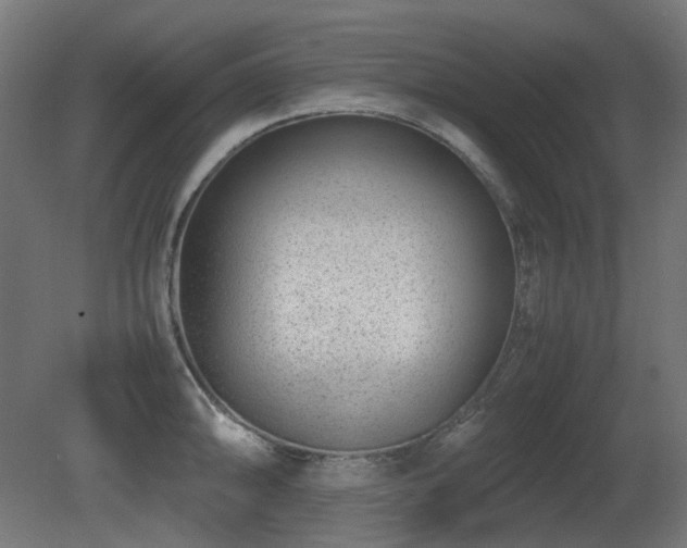 X0000081291094200701111352