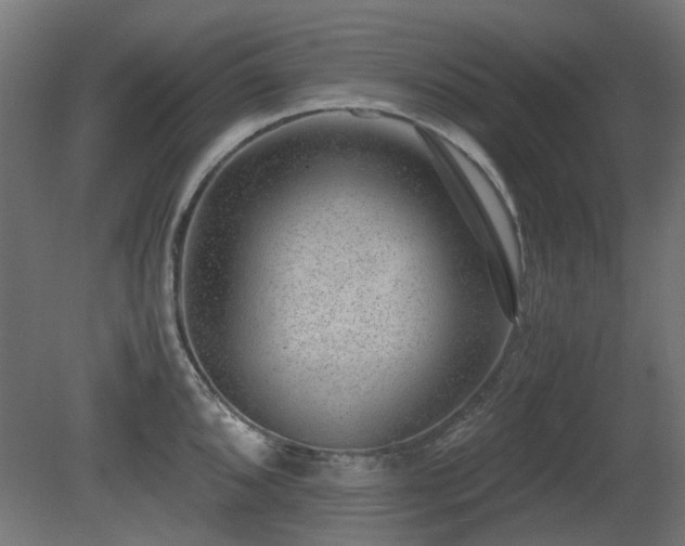 X0000081291096200701111352