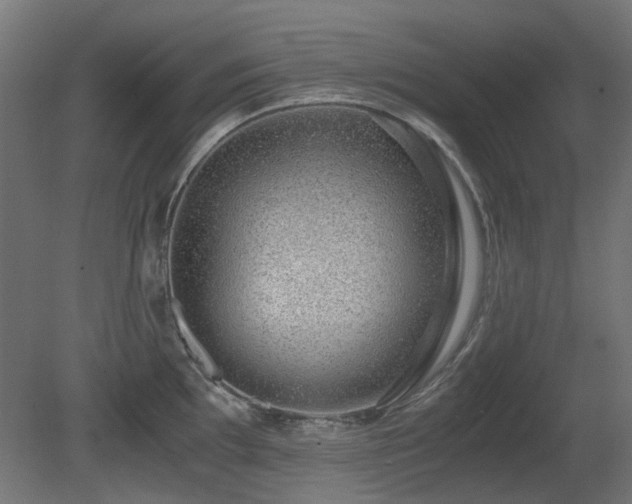 X0000081291097200701111352