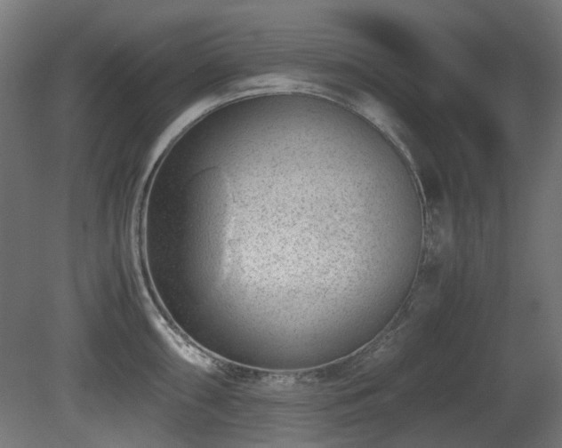 X0000081291098200701111352