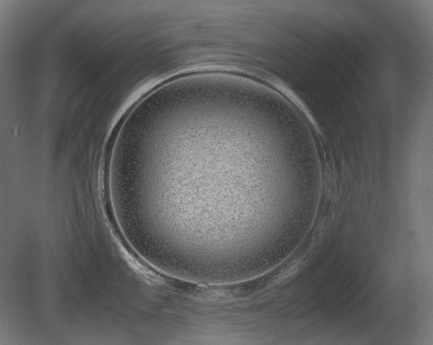 X0000081291101200701111352