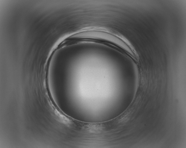 X0000081291102200701111352