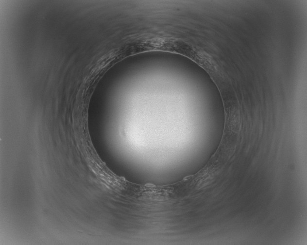 X0000081291105200701111351