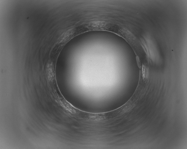X0000081291107200701111351