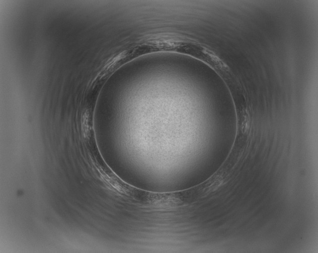 X0000081291108200701111351