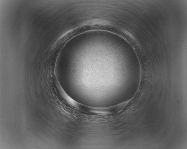 X0000081291112200701111351