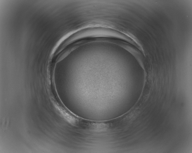 X0000081291120200701111351