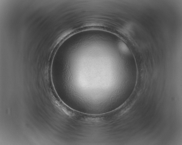 X0000081291121200701111351