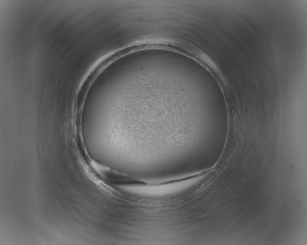 X0000081291124200701111351
