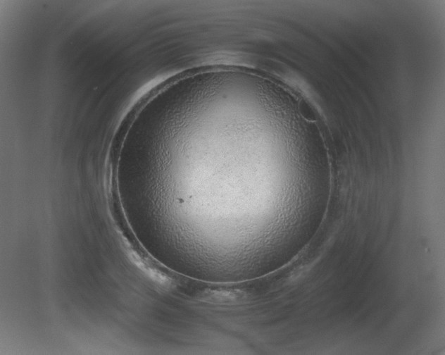 X0000081291125200701111351