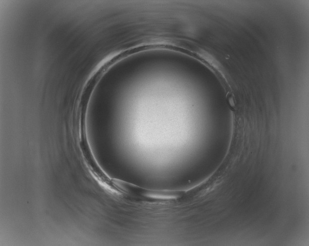 X0000081291127200701111351