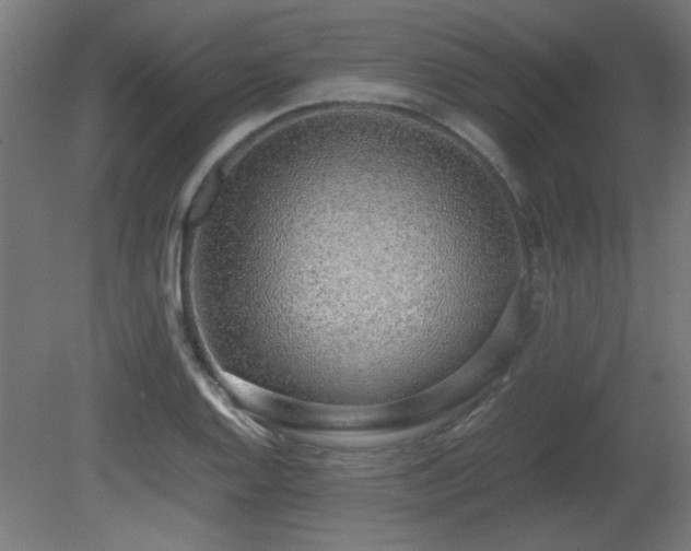 X0000081291128200701111351