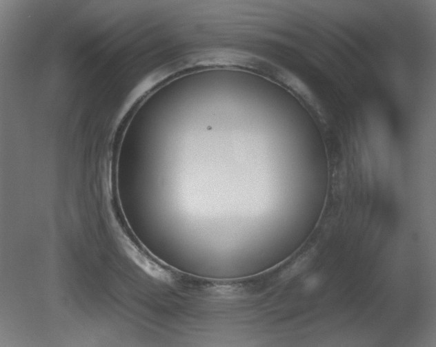 X0000081291130200701111351