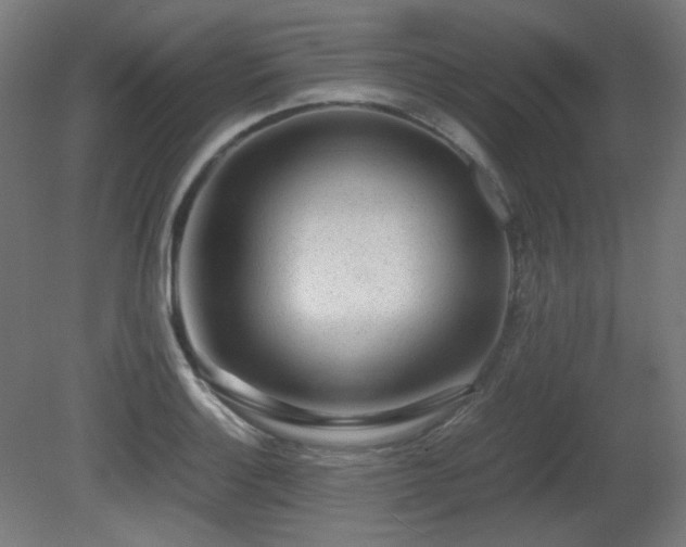 X0000081291132200701111351