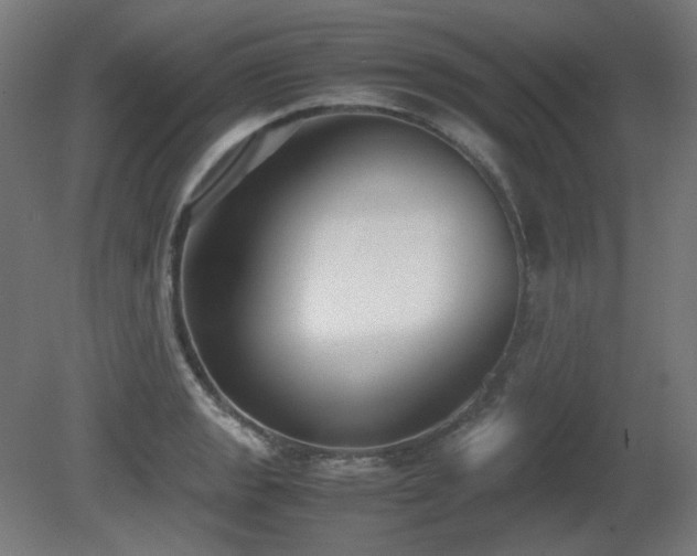 X0000081291133200701111351