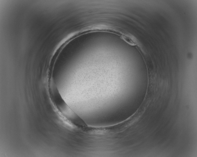 X0000081291134200701111351