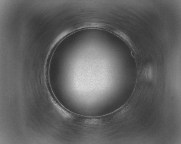 X0000081291135200701111352