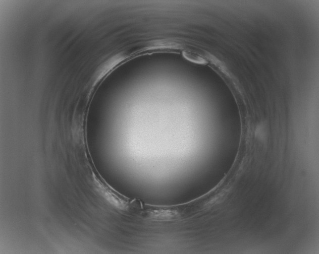 X0000081291137200701111352
