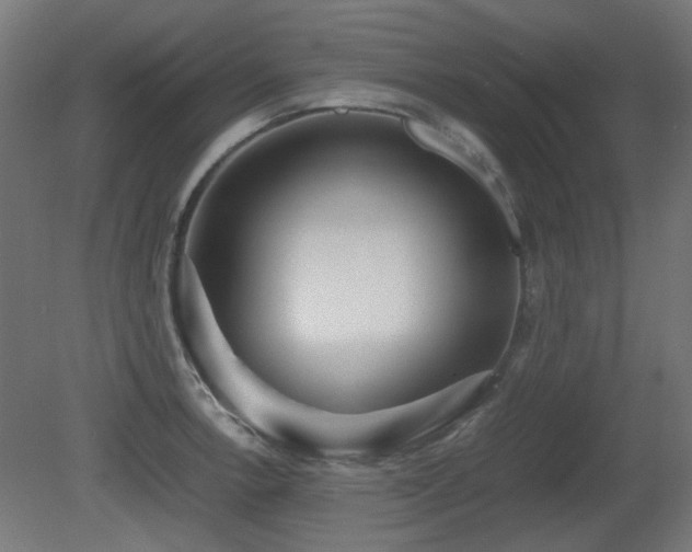 X0000081291138200701111352