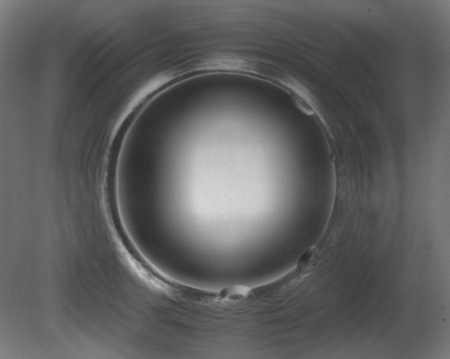 X0000081291139200701111352