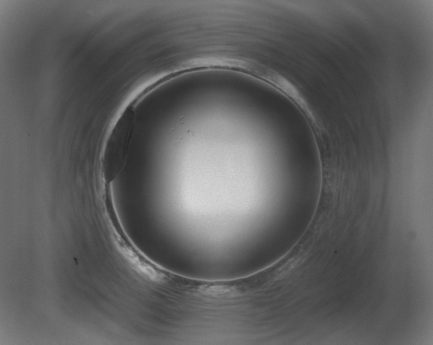 X0000081291140200701111352