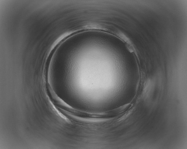 X0000081291141200701111352