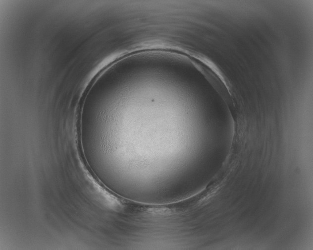 X0000081291142200701111352