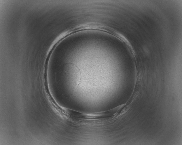 X0000081291146200701111352
