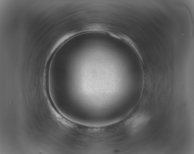 X0000081291147200701111352