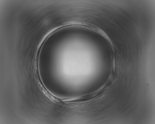 X0000081291148200701111352