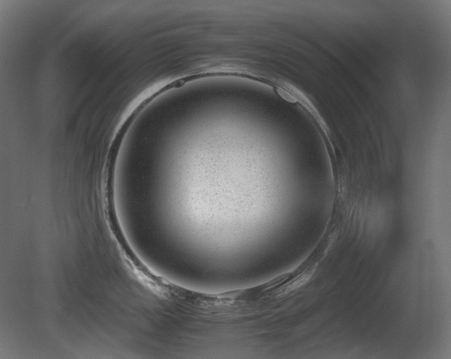 X0000081291149200701111352