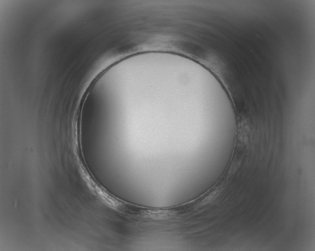 X0000081291150200701111352