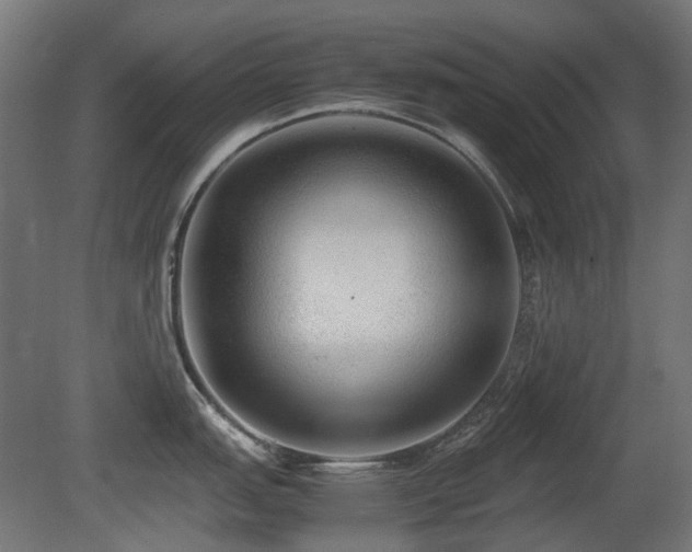 X0000081291151200701111352